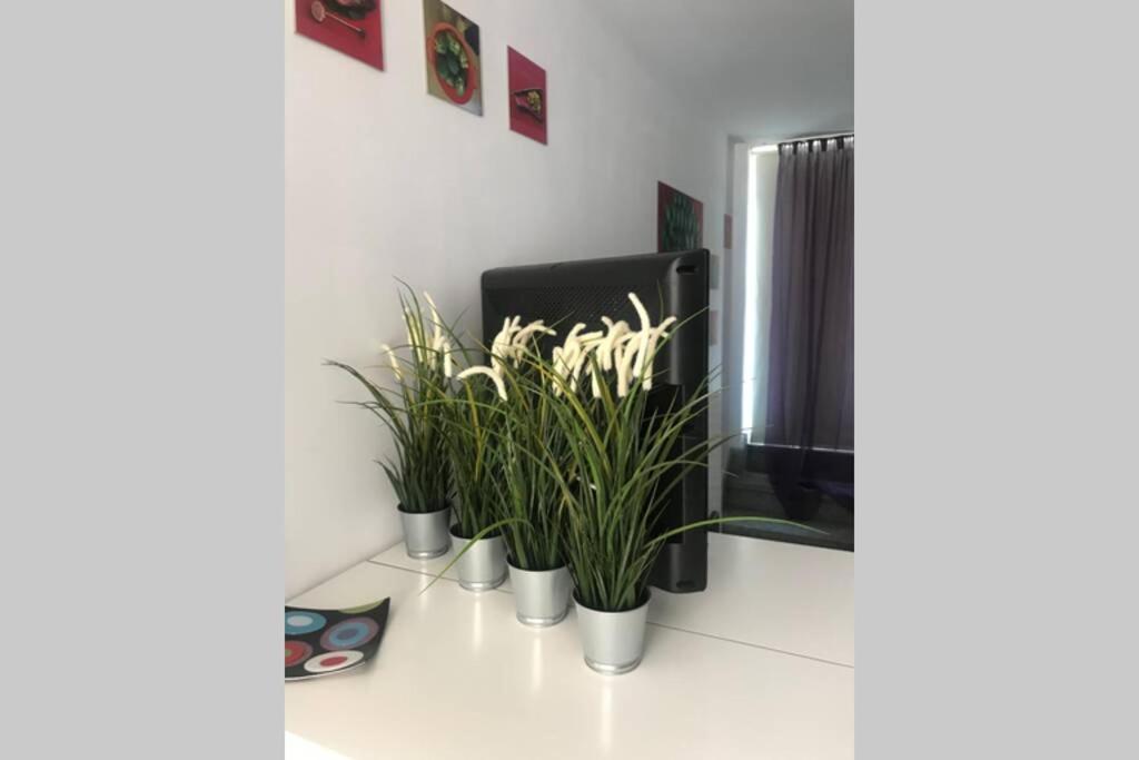 דירות Guía de Isora Atico Con Vistas Y Gran Terraza מראה חיצוני תמונה